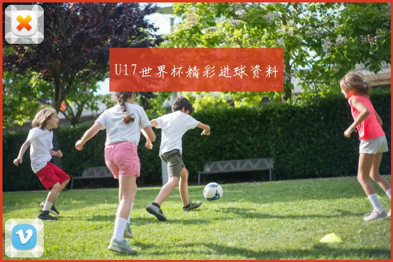 U17世界杯精彩进球资料