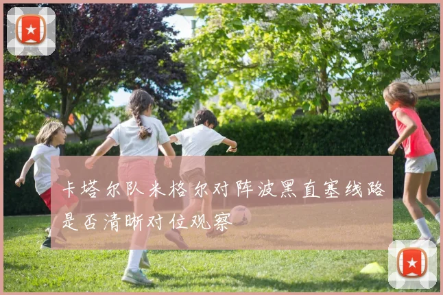 卡塔尔队米格尔对阵波黑直塞线路是否清晰对位观察